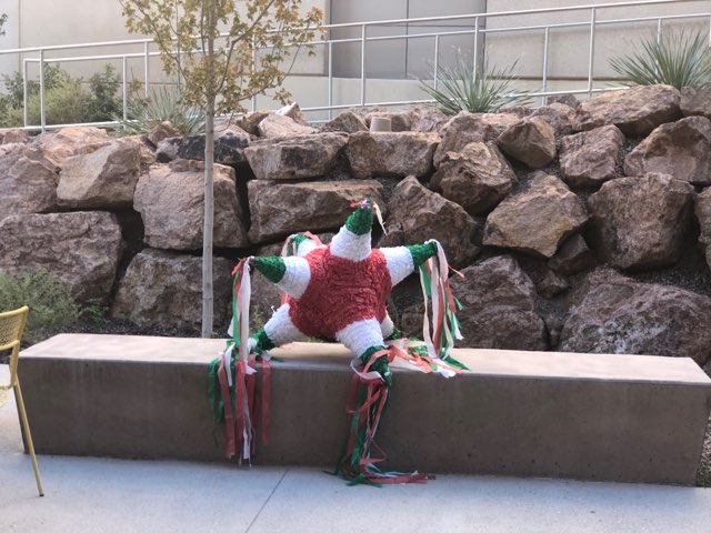 Viva la Salud Flower Display